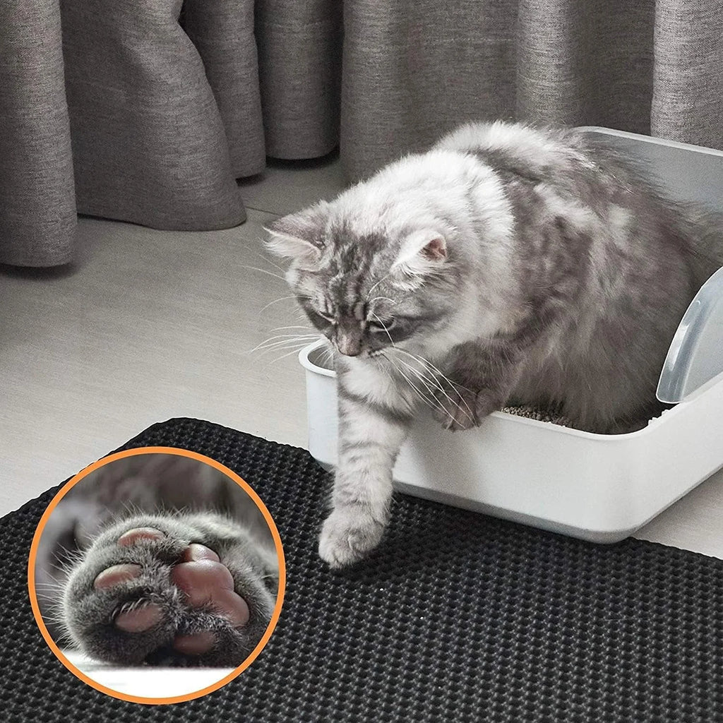 Pet's supplies