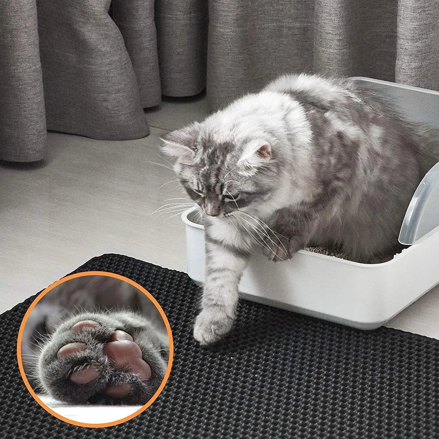 Pet's supplies